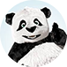 Tinypng