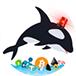 Whale Alert