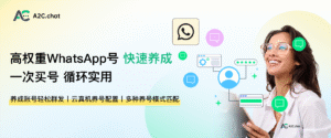 A2C 现已正式上线 丨在 WhatsApp 精准获客中获得不同凡Spark的体验